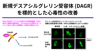 新規デスアシルグレリン受容体をターゲットとした薬剤性心障害ならびに心不全全般における予防、治療薬の創薬
