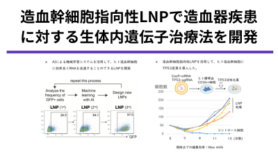 造血幹細胞指向型脂質ナノ粒子を活用した生体内遺伝子治療法の開発