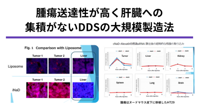 DDS製造法の開発