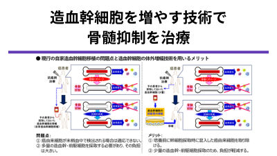 体外増幅した自家造血幹細胞を用いた次世代型骨髄抑制治療法の開発