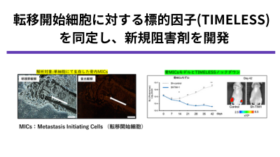 転移開始細胞治療薬の開発
