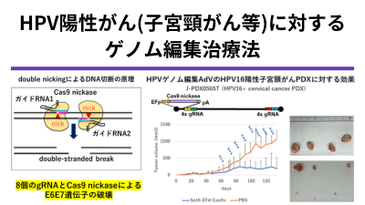 超多重ガイドRNA/Cas9 nickase搭載一体型アデノウイルスベクターを用いたパピローマウイルス感染病変のゲノム編集治療法の開発