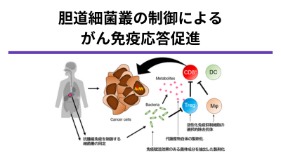 胆道細菌叢に着眼した新規がん免疫治療開発