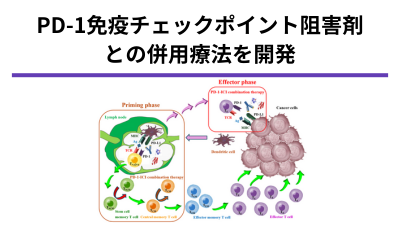 PD-1免疫チェックポイント阻害剤併用療法の開発