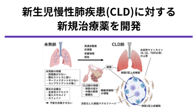 超低出生体重児の慢性肺疾患に対するTGFβ1 阻害療法の臨床応用にむけた研究