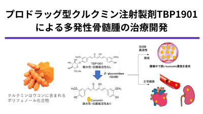 First in human試験に向けたプロドラッグ型クルクミン注射製剤TBP1901の非臨床安全性試験