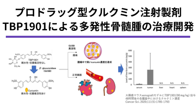 First in human試験に向けたプロドラッグ型クルクミン注射製剤TBP1901の非臨床安全性試験