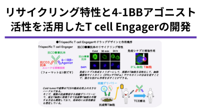リサイクリング特性と4-1BB-Agonist活性を活用したT cell Engagerの開発