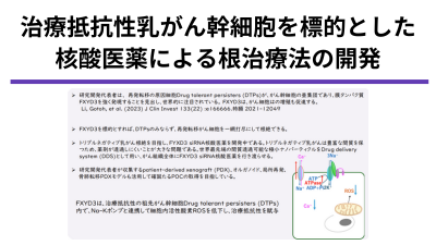 治療抵抗性乳がん幹細胞を標的とした核酸医薬による根治療法の開発
