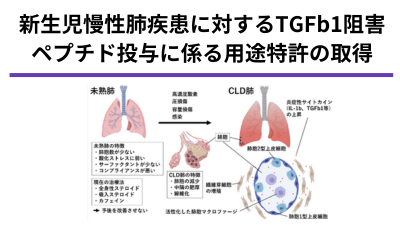 超低出生体重児の慢性肺疾患に対するTGFβ1 阻害療法の臨床応用にむけた研究